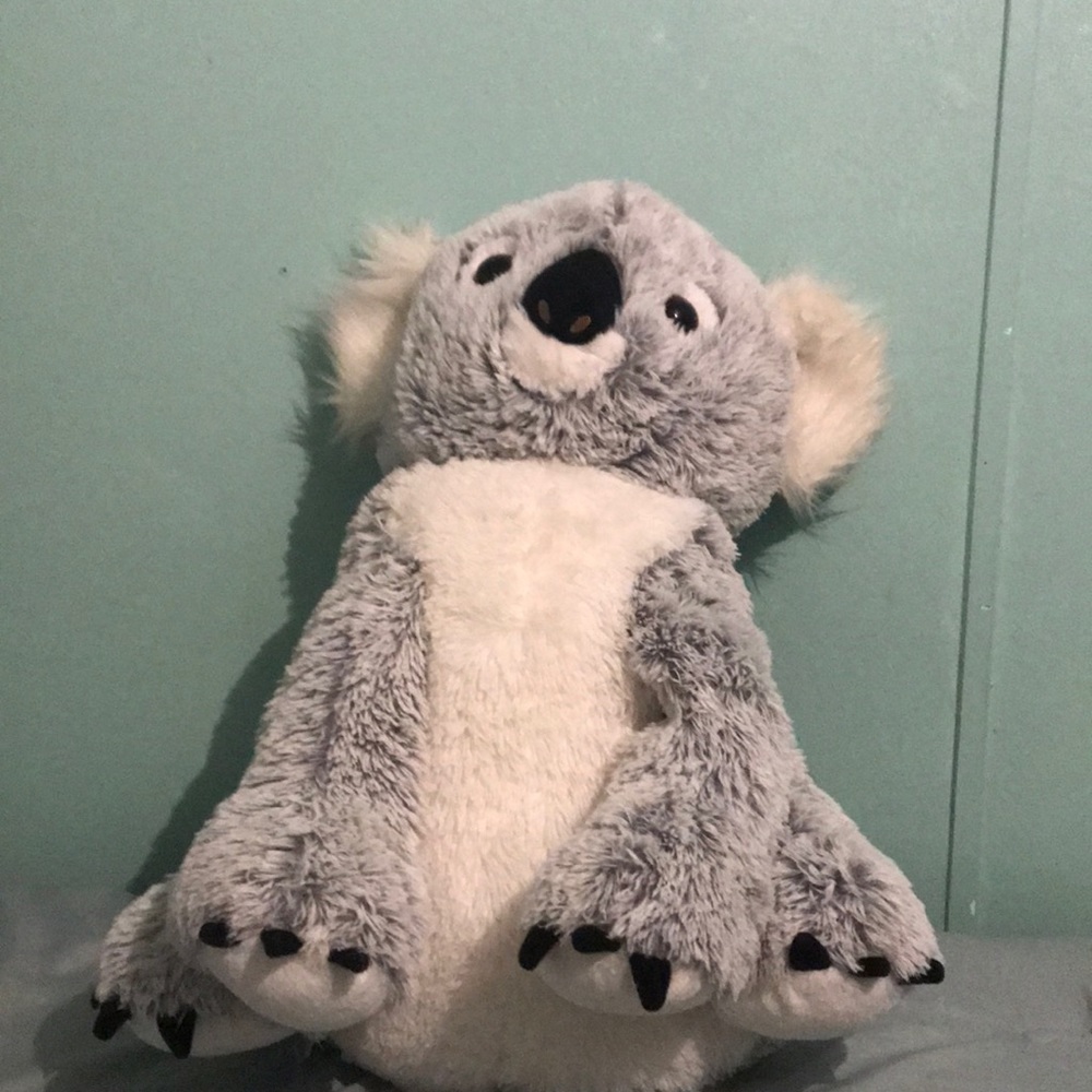 Koala bear - Picture 2 of 2